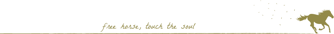 Free horse, touch the soul - osteopathie bij Hand to Mane