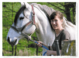 Traitement de cheval